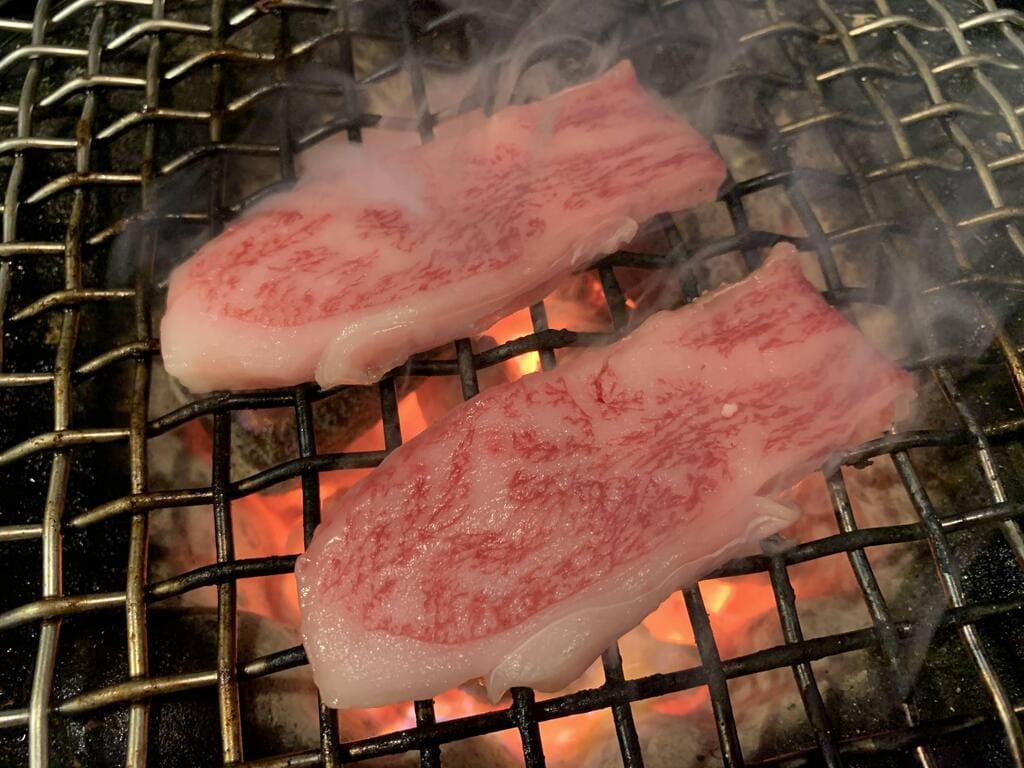 [お徳用]アウトレット A5等級神戸牛 焼肉・BBQ セット (500g)